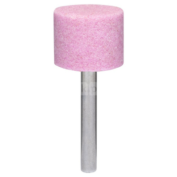 ŚCIERNICA TRZPIEN.CYLIND.