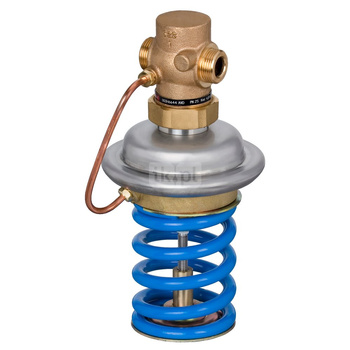 Reduktor ciśnienia AVD, PN 25, DN 25, 8.00 m³/h, 1.00 bar - 5.00 bar, Gwint zewnętrzny, G 1 1/4 A, Wersja montażowa: Zasilanie