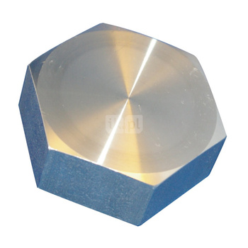 Kołpak gwintowany stal nierdzewna PN 16, przył. 2'' dł.81mm szer.70mm 2501216 WILO