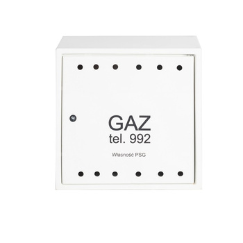 Punkt redukcyjno-pomiarowy na 2 gazomierze G4, w skrzynce z laminatu 600x600x250 - popielaty