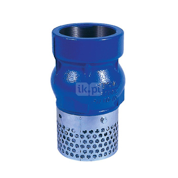 Kosz ssawny gwintowany wew., zamknięcie grzybkowe wspomagane sprężyną, typ 102, 2 1/2"