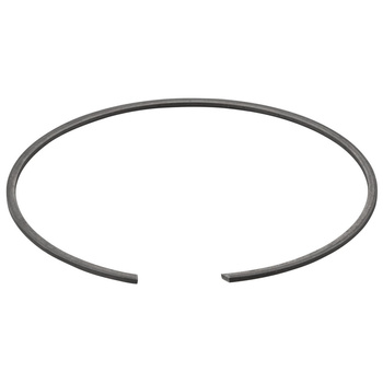 Pierścień rozprężny REMS