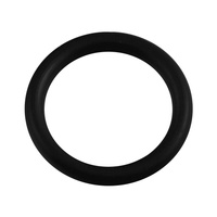 Oring wylewki 3/4" (5 szt.)