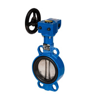 Przepustnica VFY-WG PN16 DN100 CI/EP/EPDM