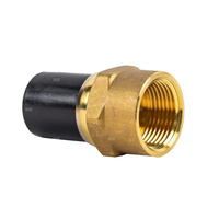 Adaptor PE 63 x GW 2" FU