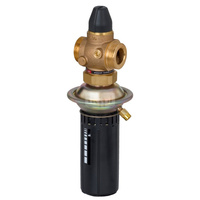 Regulator różnicy ciśnień z ograniczeniem przepływu AVPB PN16 15/25 02-10 gw. pow.