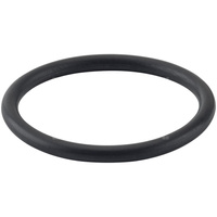 Oring - pierścień uszczelniający REMS