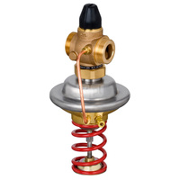 Regulator różnicy ciśnień z ograniczeniem przepływu AVPQ PN25 32/125 03-20/02 gw. pow.
