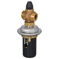 Regulator różnicy ciśnień z ograniczeniem przepływu AVPB PN25 32/125 02-10 gw. pow.