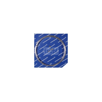 Pierśc. bieżny NKG D224x15 1.4517 M5x10