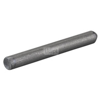 Kołek ustalający REMS