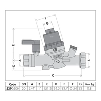 Grupa do kontroli ciśnienia w instalacji wody użytkowej z wymiennym wkładem DN 20, GW 3/4" x GW 1" z nakrętką