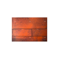 Przycisk spłukujący do stelaża (Mechaniczny) TECE square metal, kolor rdzawa stal