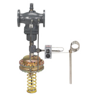 Regulator różnicy ciśnień/przepływu AFPQ, PN 40, 0.10 bar - 0.70 bar, 0.20 bar, 250 cm², Żółty