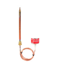 Siłownik termostatyczny AVTB 20-60 st.C 2m, 9,5x180 mm cz.zam