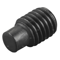 Kołek gwintowany REMS